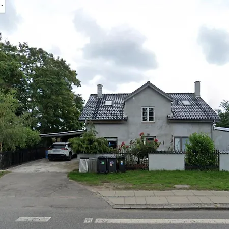 Oksana's * Nivå